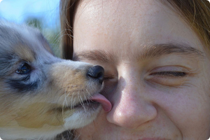 Eccesso saluto del cane al rientro in casa